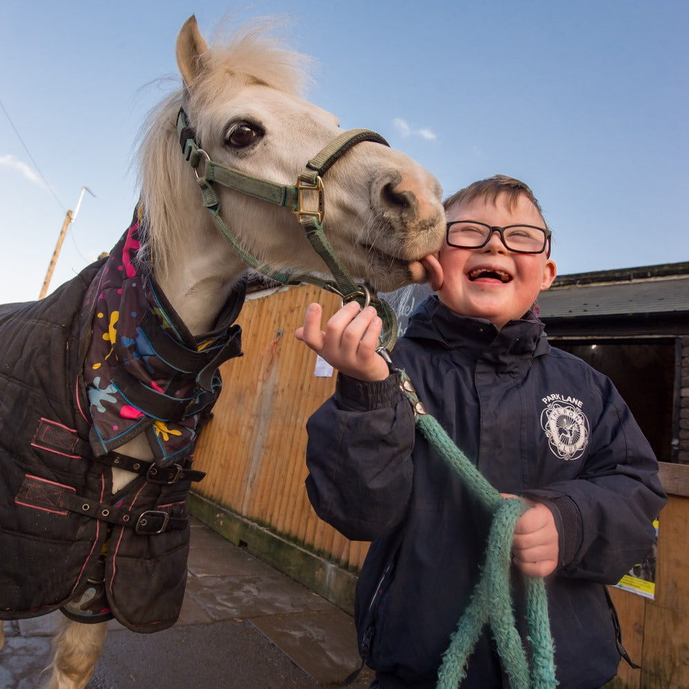 In Search of a Miracle (Transcript of "Miracle on Park Lane" on By The Love Of Horses)