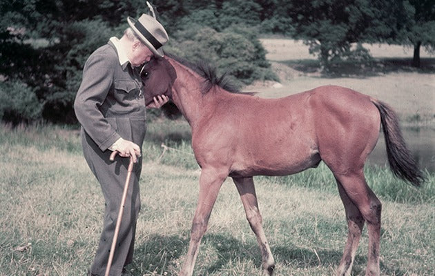 Horses in History: Winston Churchill's Love of Animals