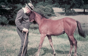 Horses in History: Winston Churchill's Love of Animals