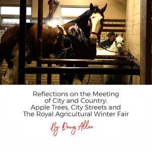 Reflections on the Meeting of City and Country: Apple Trees, City Streets and The Royal Agricultural Winter Fair