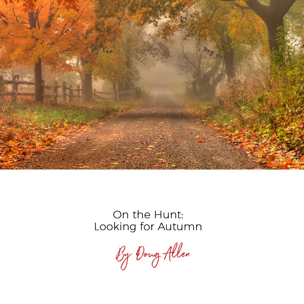 On the Hunt: Looking for Autumn