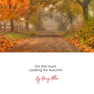 On the Hunt: Looking for Autumn