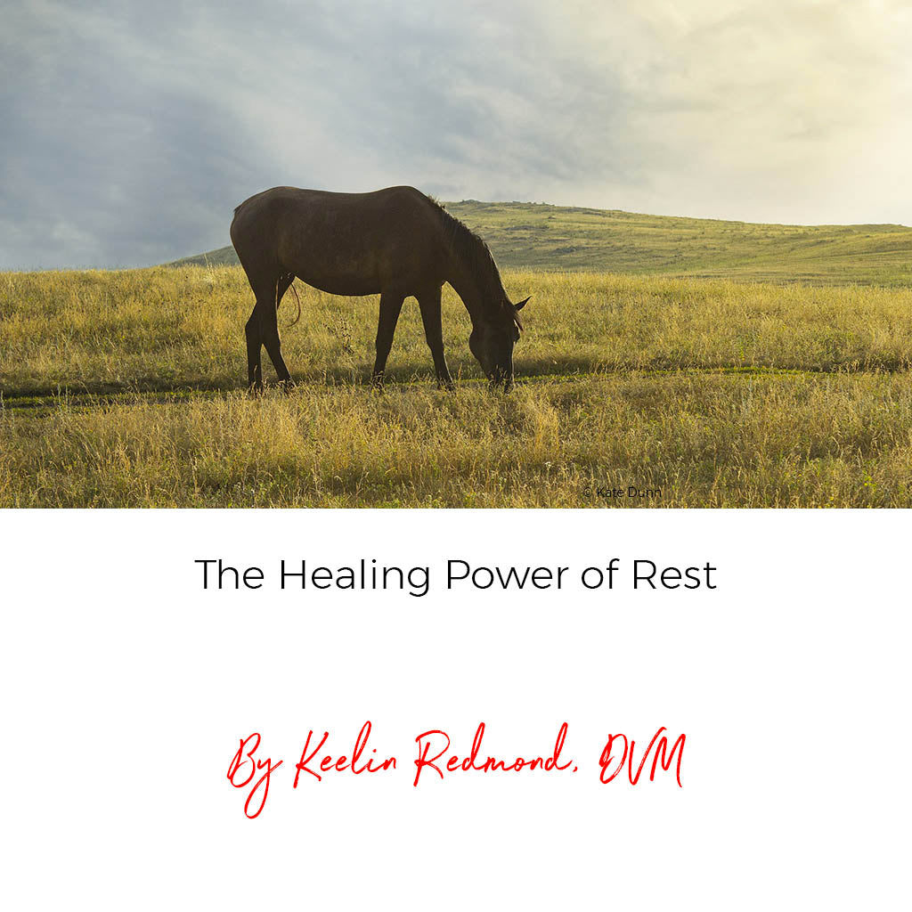 The Healing Power of Rest