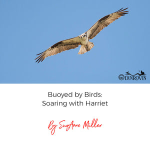 Buoyed by Birds: Soaring with Harriet