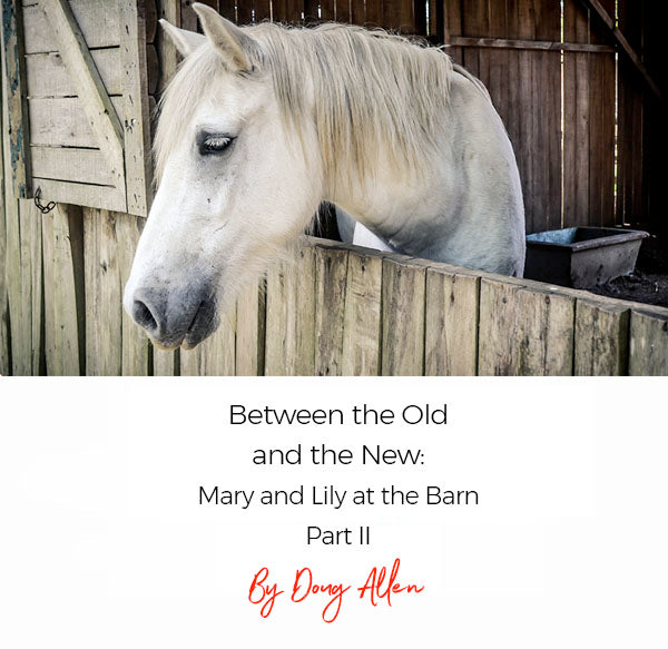 Part II - Between The Old and The New: Mary and Lily at The Barn