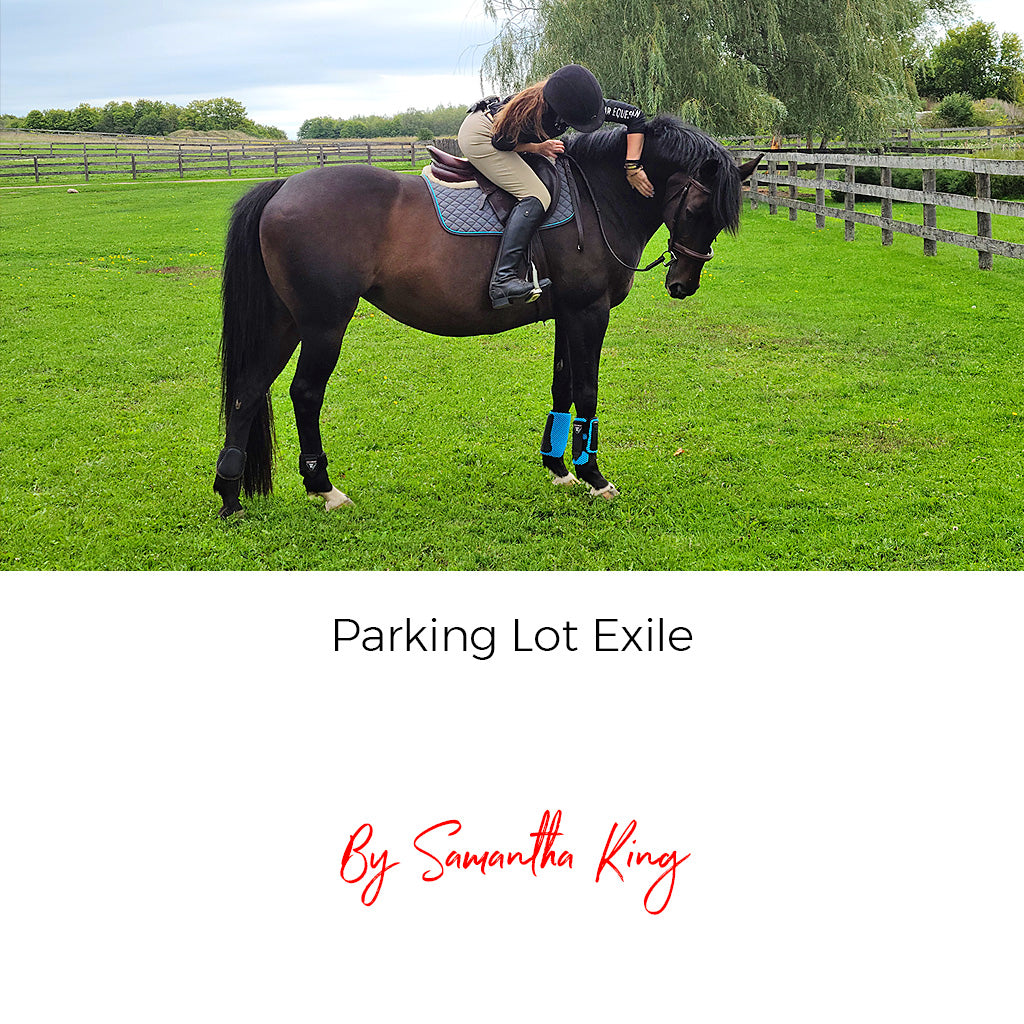Parking Lot Exile