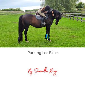 Parking Lot Exile