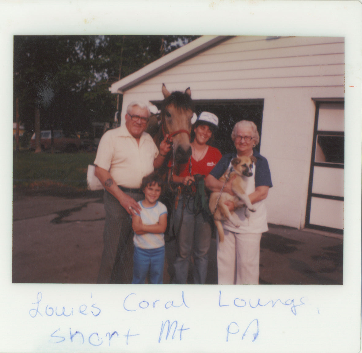 Melissa Priblo Chapman's Journey Down The Road and Across the USA, with a horse, dog and mule