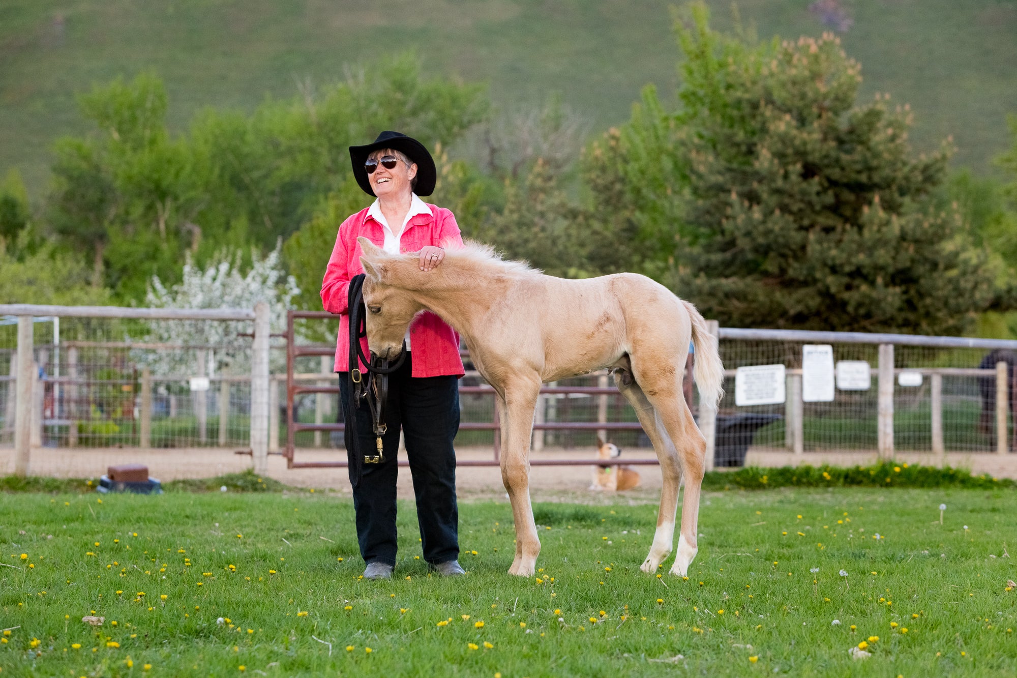 A Chat with SuzAnne Miller About Her Montana Guest Ranch and Virtual Community