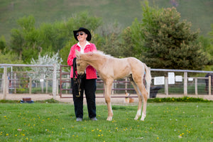 A Chat with SuzAnne Miller About Her Montana Guest Ranch and Virtual Community
