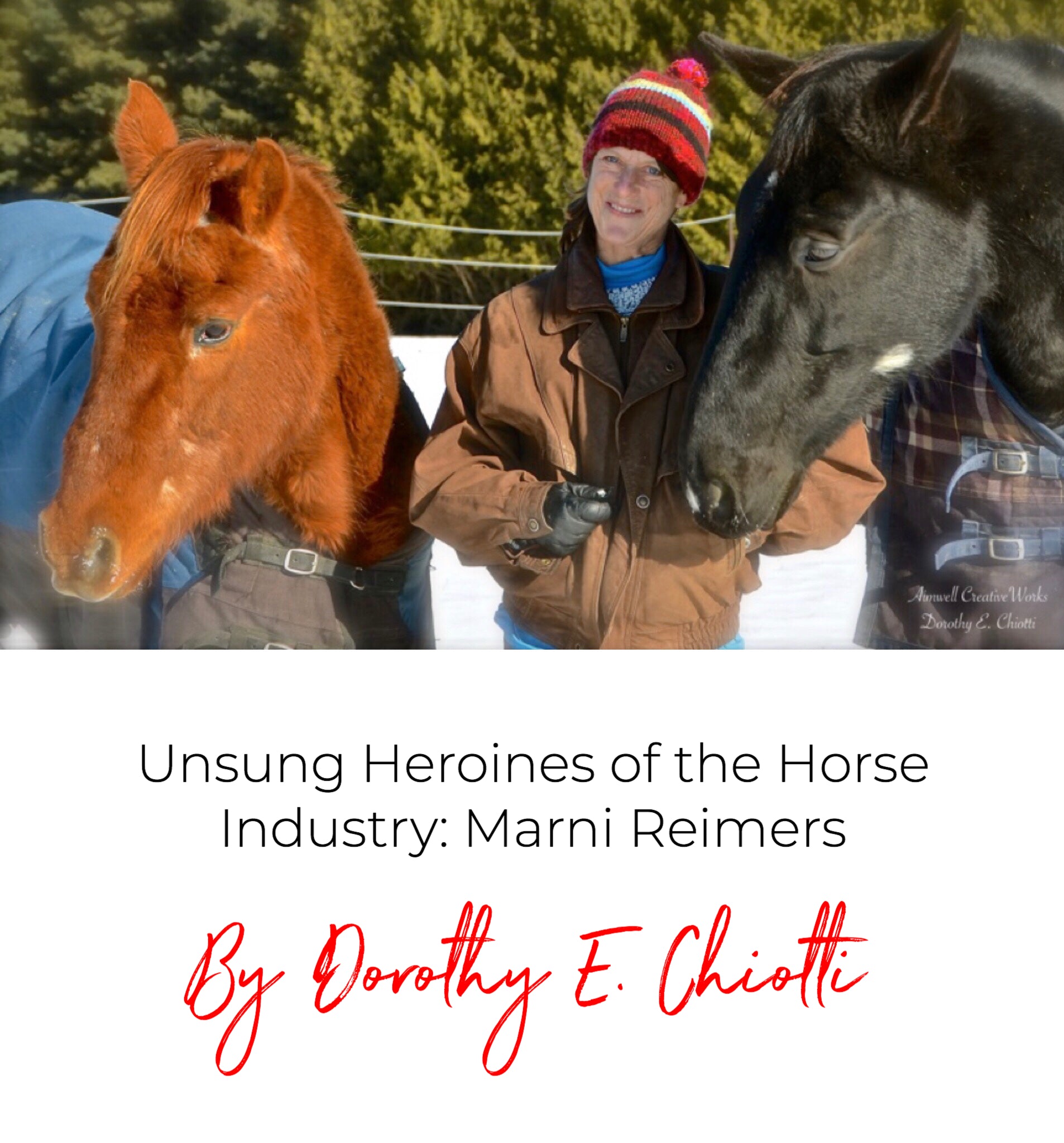 Unsung Heroines of the Horse Industry: Marni Reimers