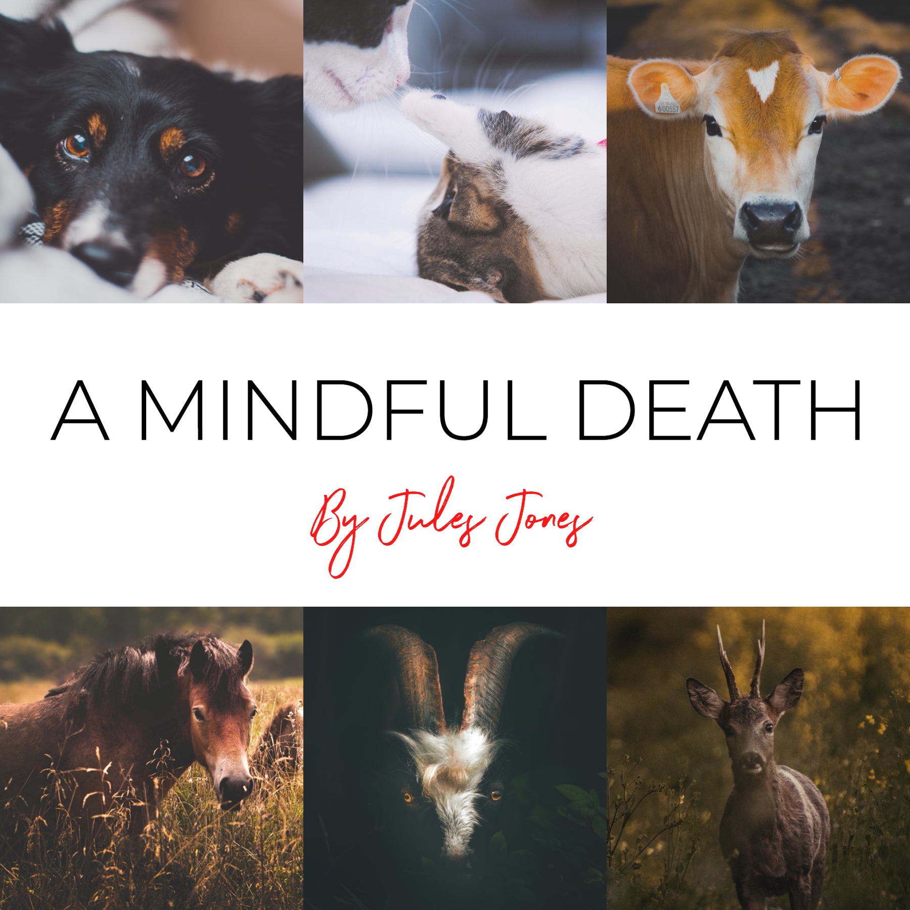 A Mindful Death
