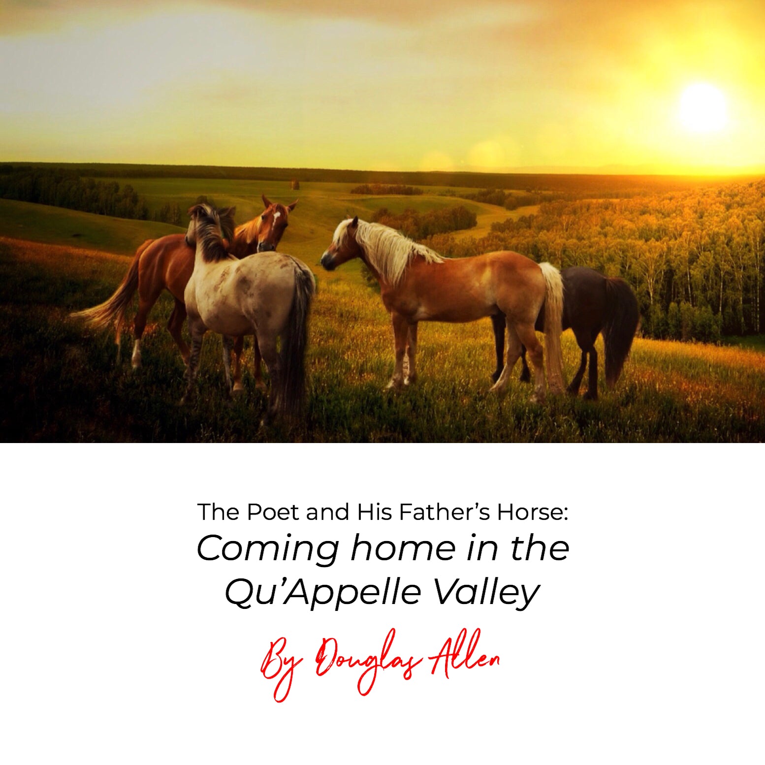 The Poet and His Father's Horse: Coming Home in the Qu'Appelle Valley