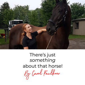 There's just something about that horse!