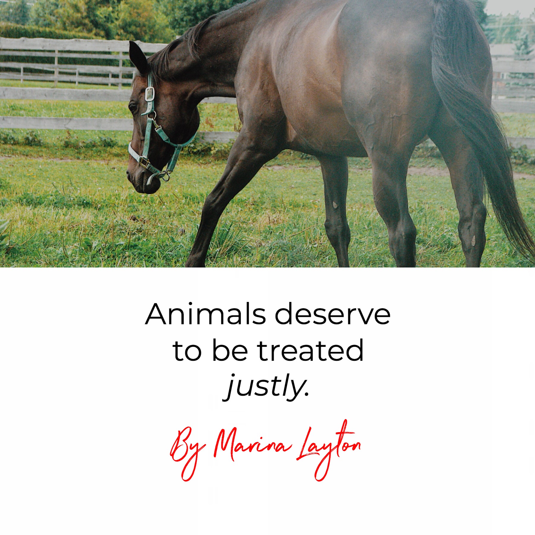 Animals deserve to be treated justly.