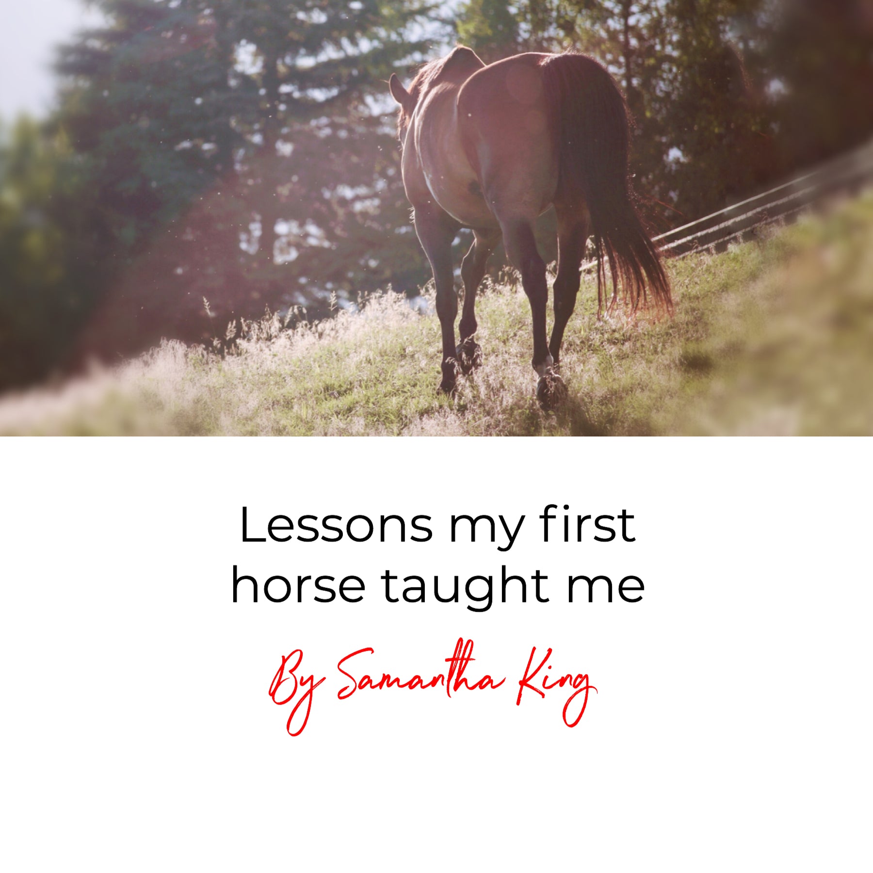 Lessons my first horse taught me