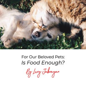 For Our Beloved Pets: Is Food Enough?