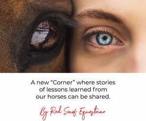 A new “Corner” where stories of lessons learned from our horses can be shared.