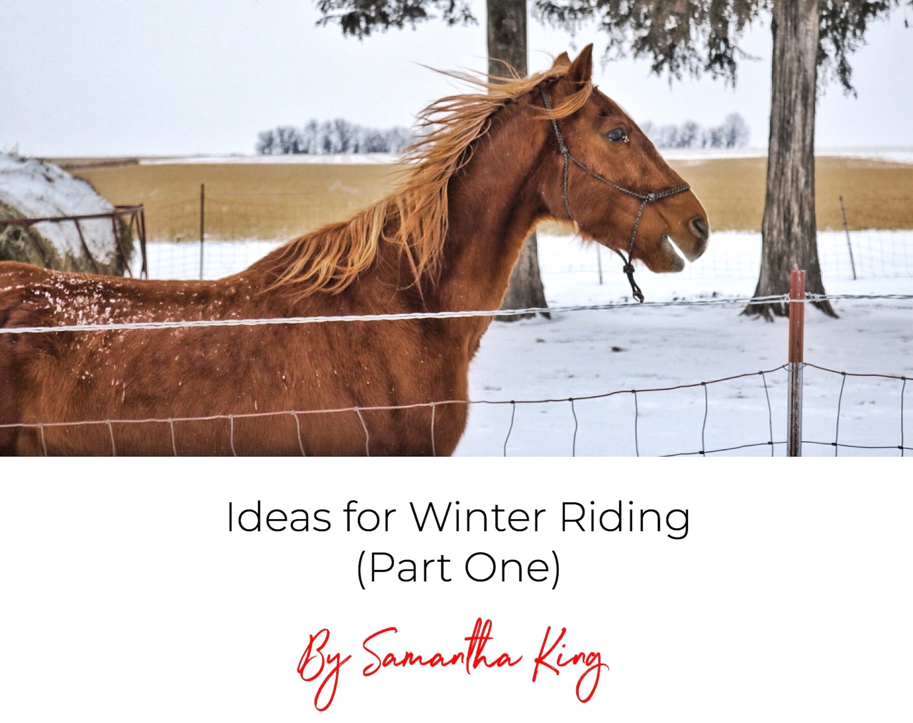 Ideas for Winter Riding (Part One)