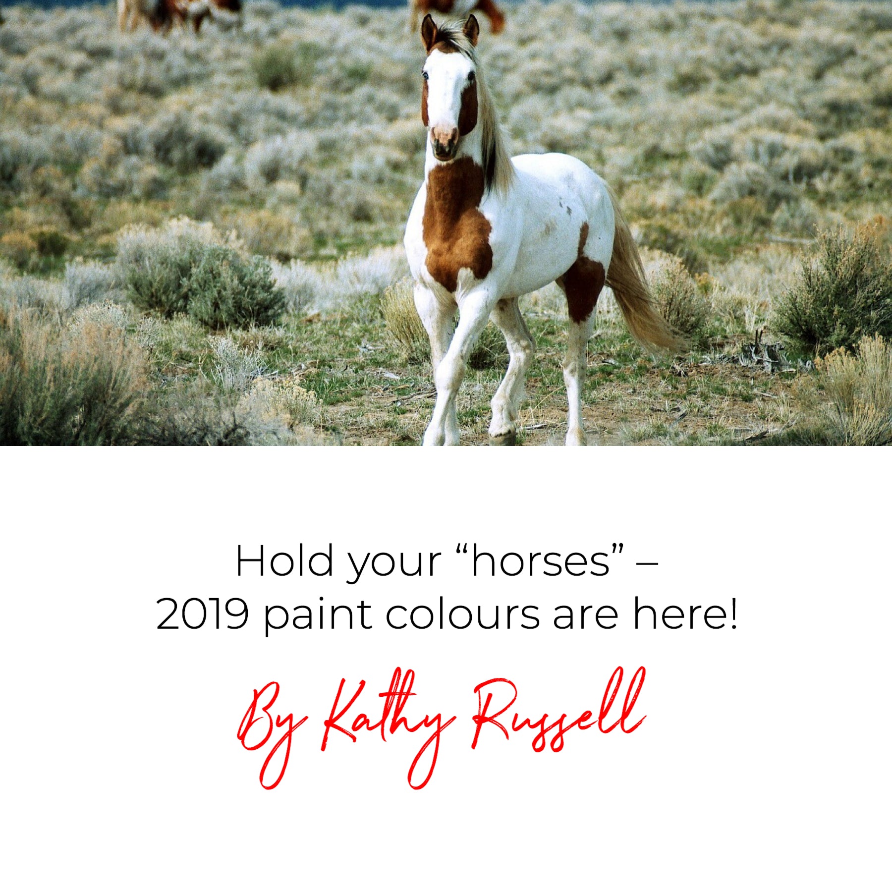 Hold your “horses” - 2019 paint colours are here!
