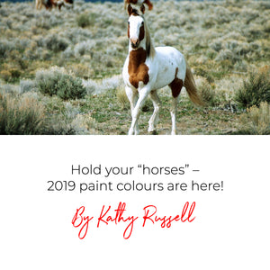 Hold your “horses” - 2019 paint colours are here!