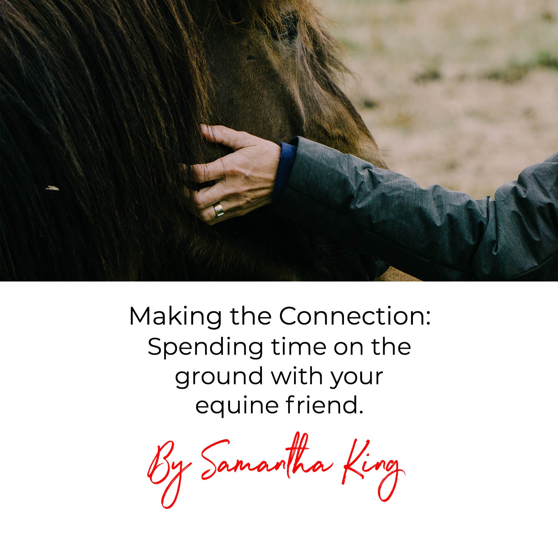 Making the Connection: Spending time on the ground with your equine friend.