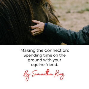 Making the Connection: Spending time on the ground with your equine friend.