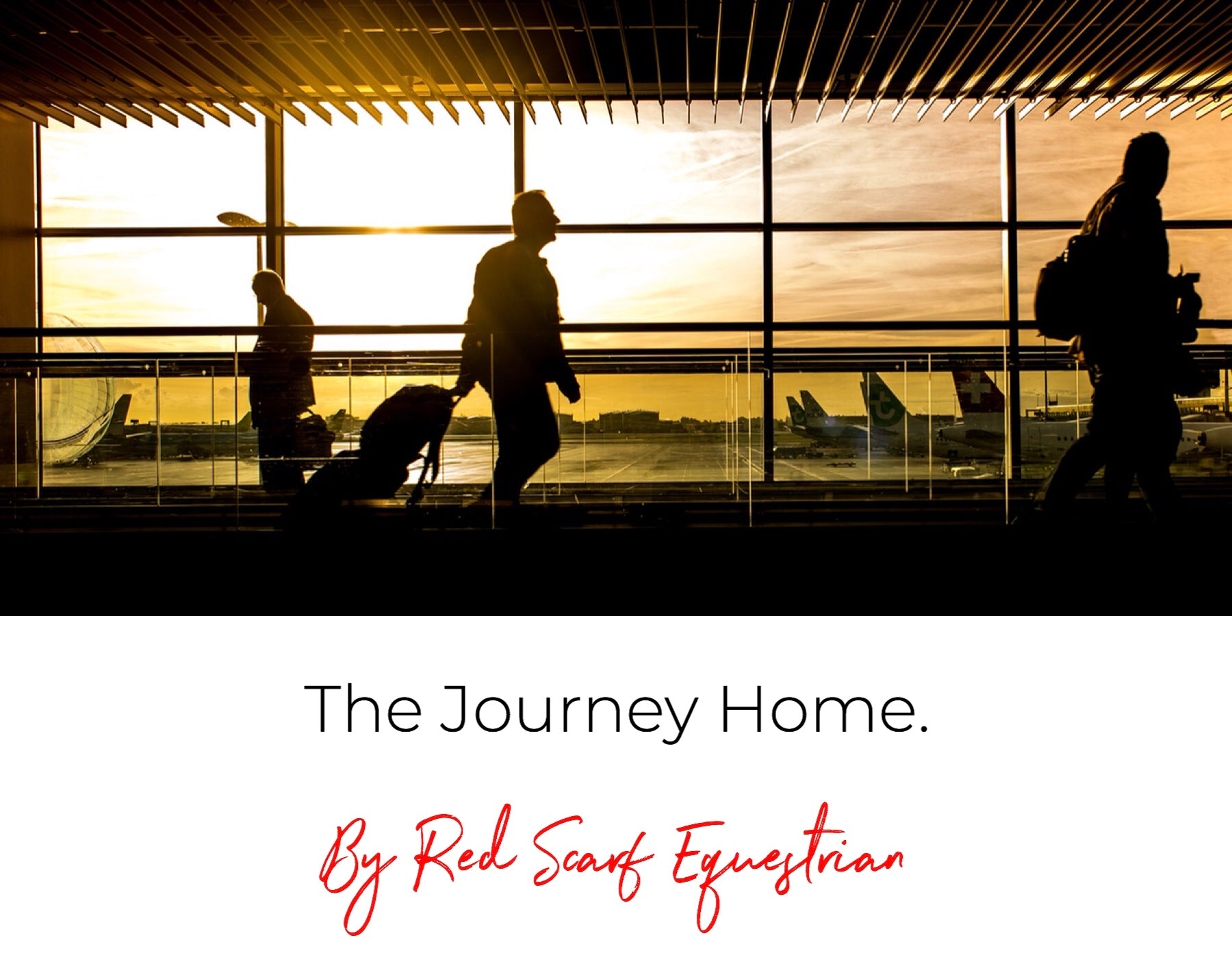 The Journey Home.