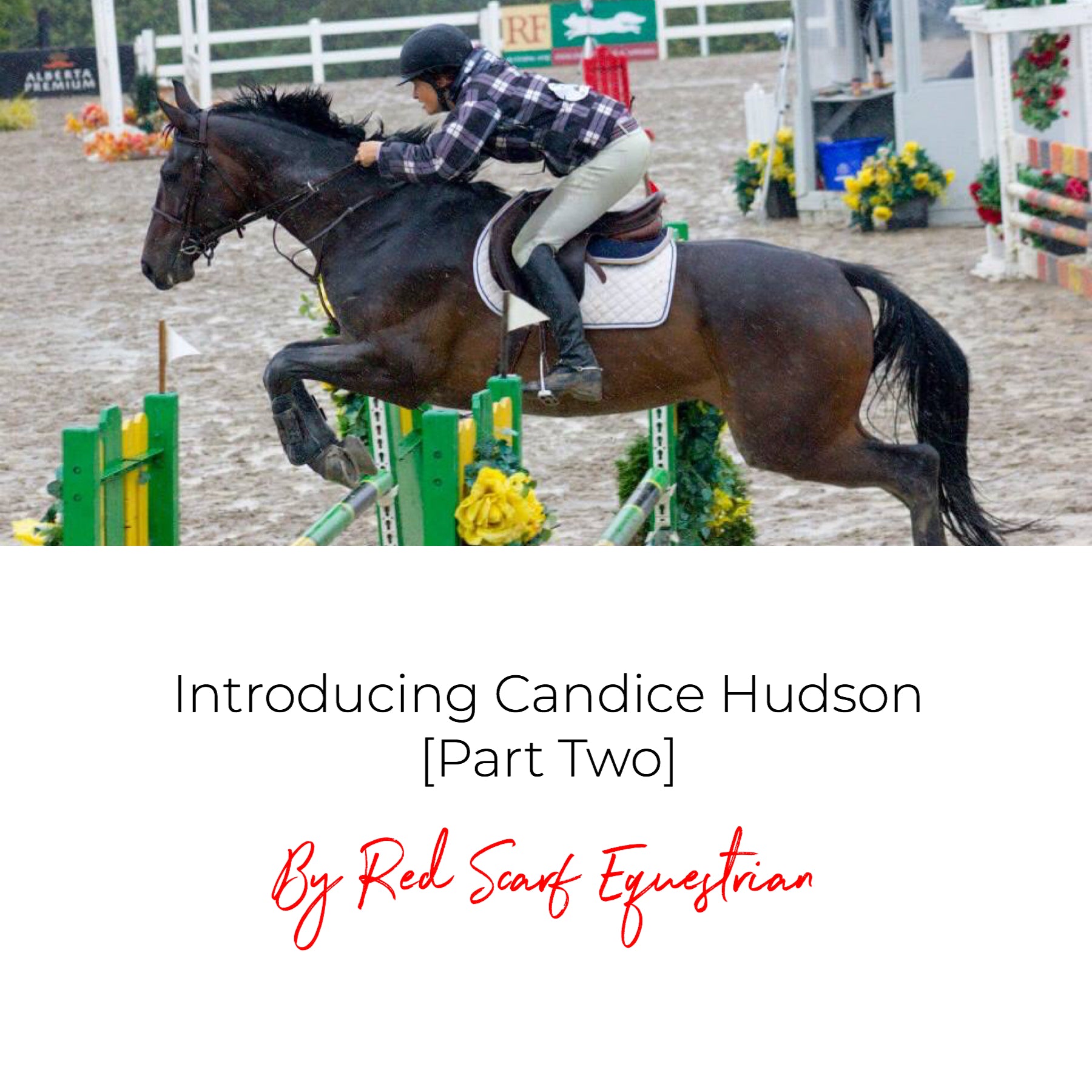 Introducing Candice Hudson [Part Two]