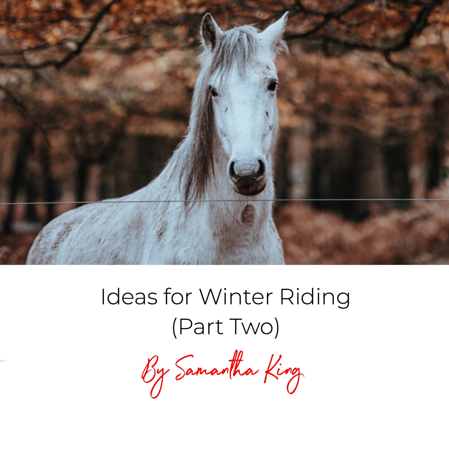 Ideas for Winter Riding (Part Two)