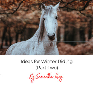 Ideas for Winter Riding (Part Two)