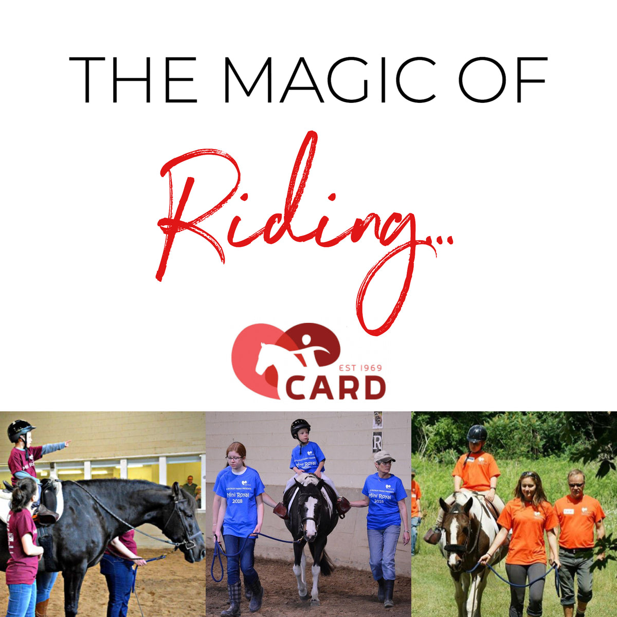 CARD: The Magic of Riding – Red Scarf Equestrian