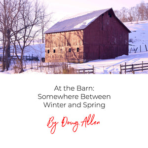At the Barn: Somewhere Between Winter and Spring