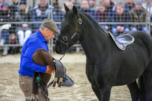 A Visit With Monty Roberts The Man Who Listens to Horses