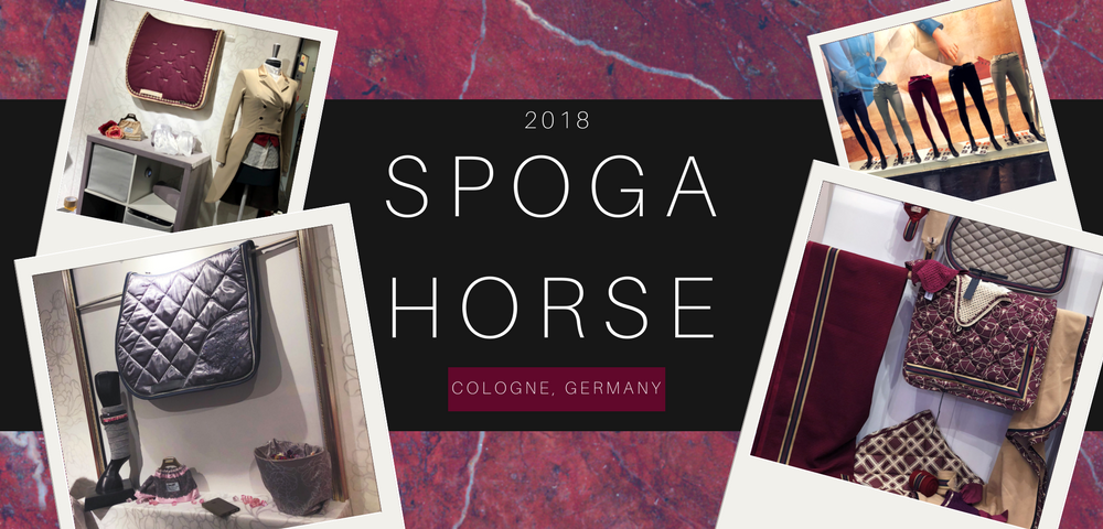 Learning to Connect the Horse and Rider - European Style