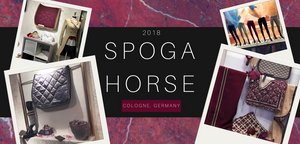 Learning to Connect the Horse and Rider - European Style