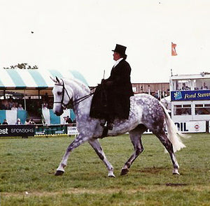 Interested in Side Saddle Riding? Thoughts from the Vice Chairman of the UK Side Saddle Association