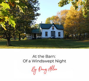 At the Barn: Of a Windswept Night