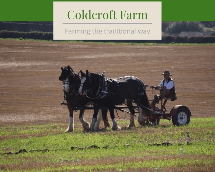 Coldcroft Shires on a Charity Drive