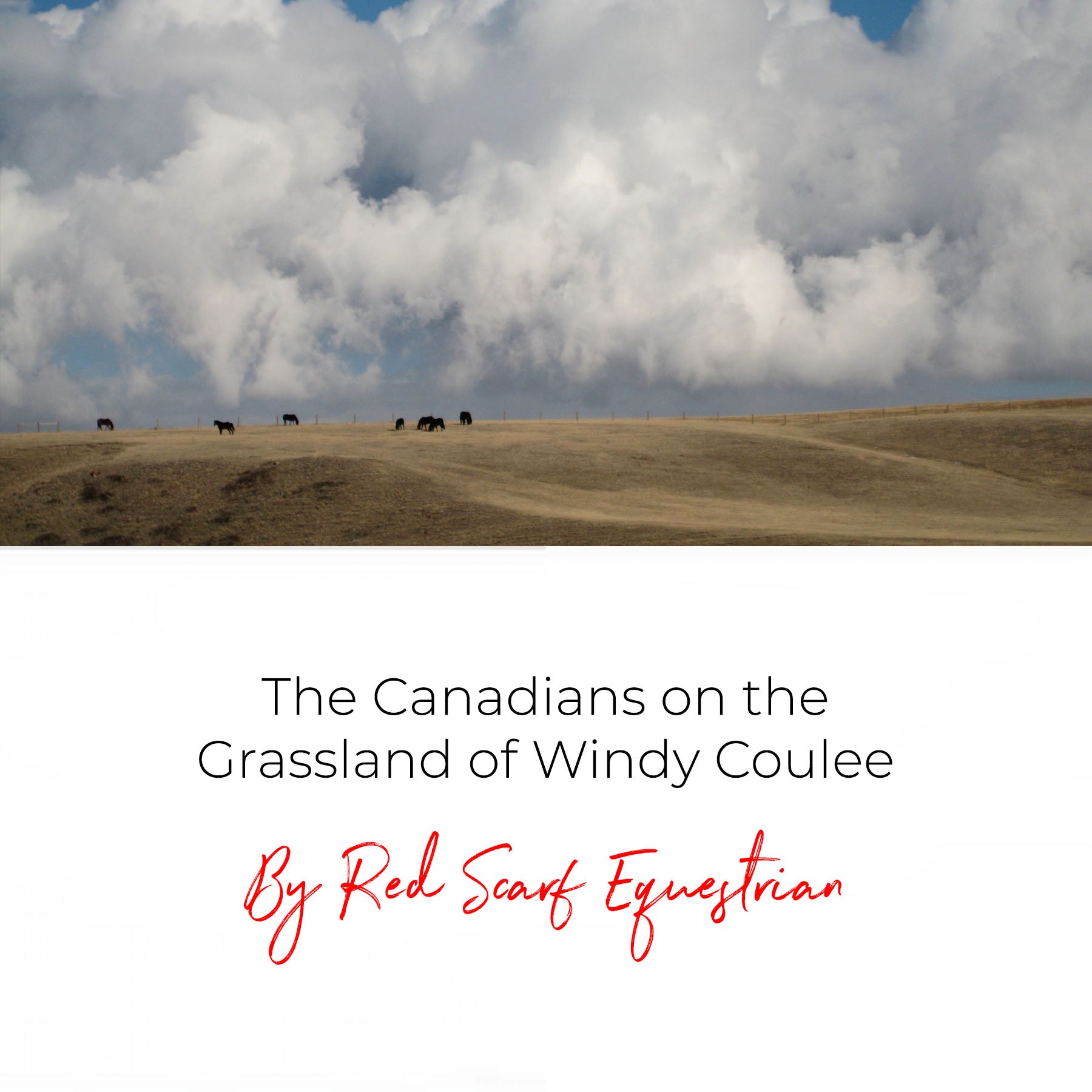 The Canadians on the Grassland of Windy Coulee