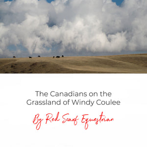 The Canadians on the Grassland of Windy Coulee
