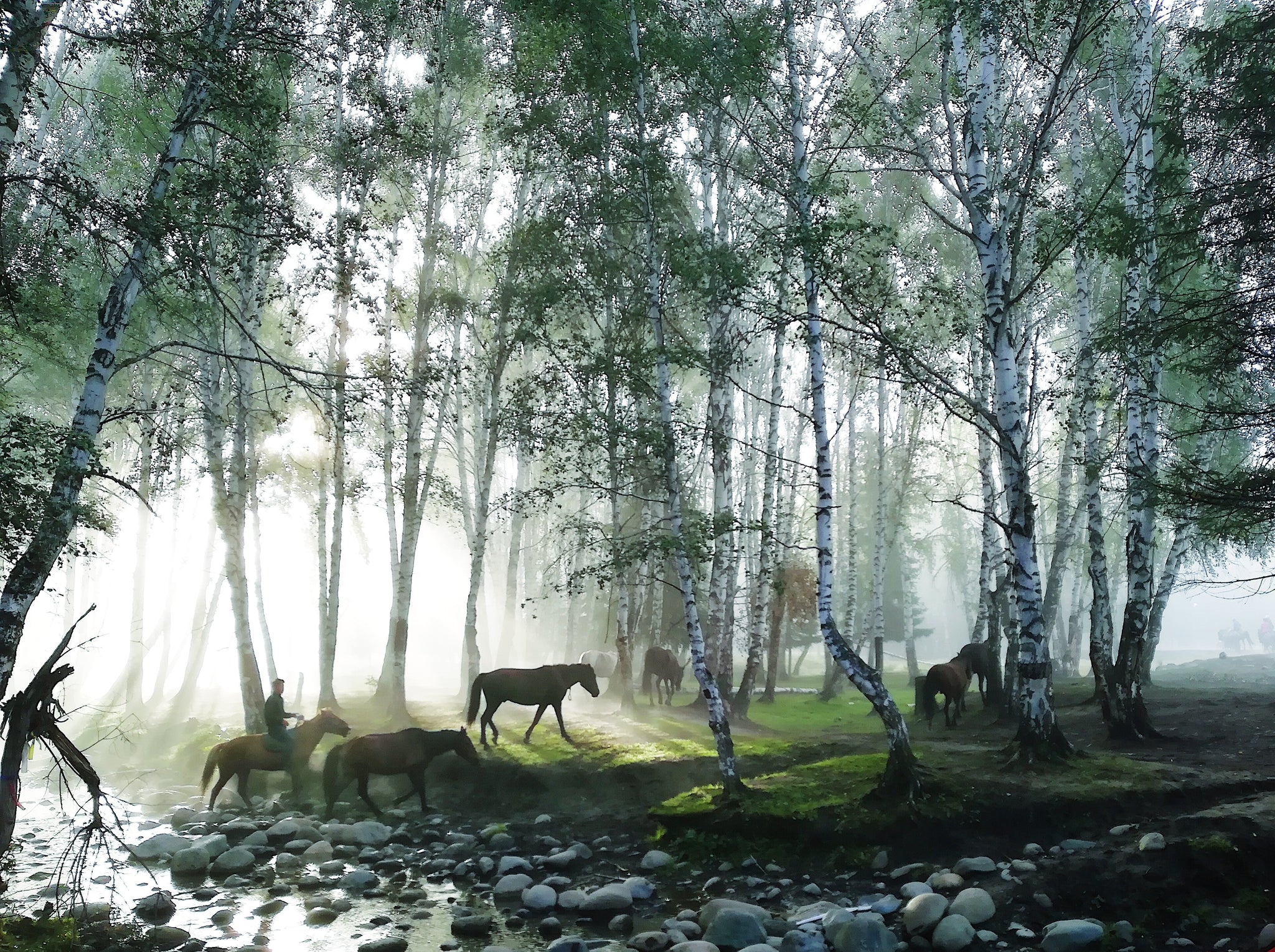 Don’t Change Horses in Mid-Stream