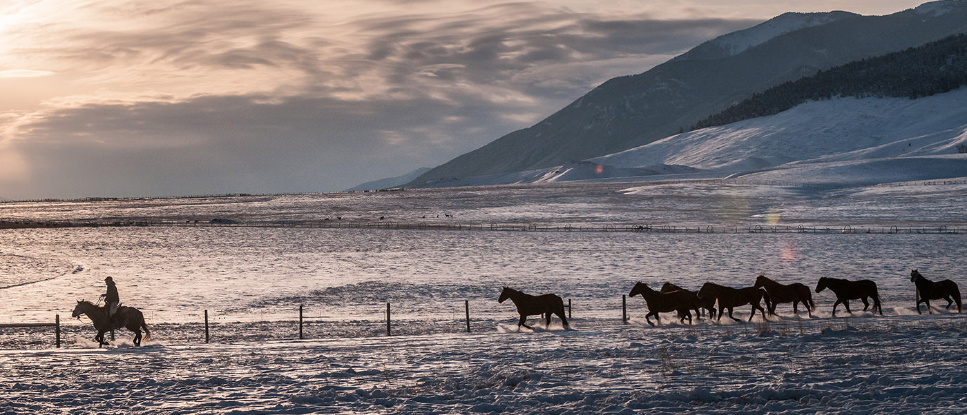A Visit With Janet Rose of the Montana Center for Horsemanship