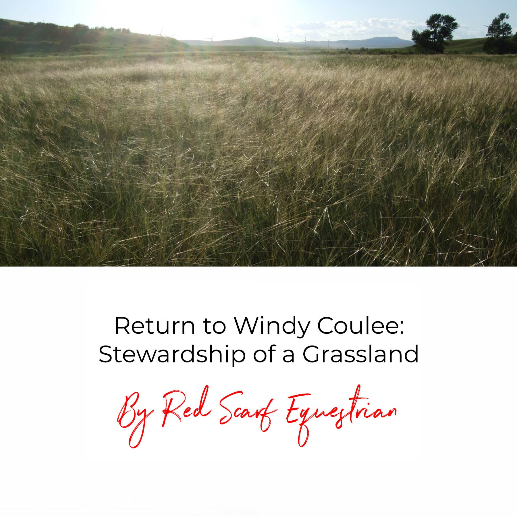 Return to Windy Coulee: Stewardship of a Grassland