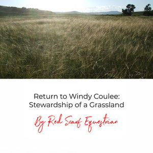 Return to Windy Coulee: Stewardship of a Grassland