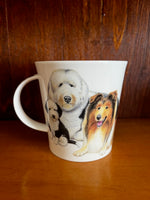 Load image into Gallery viewer, Dogs &amp; Puppies Collies and Boxers
