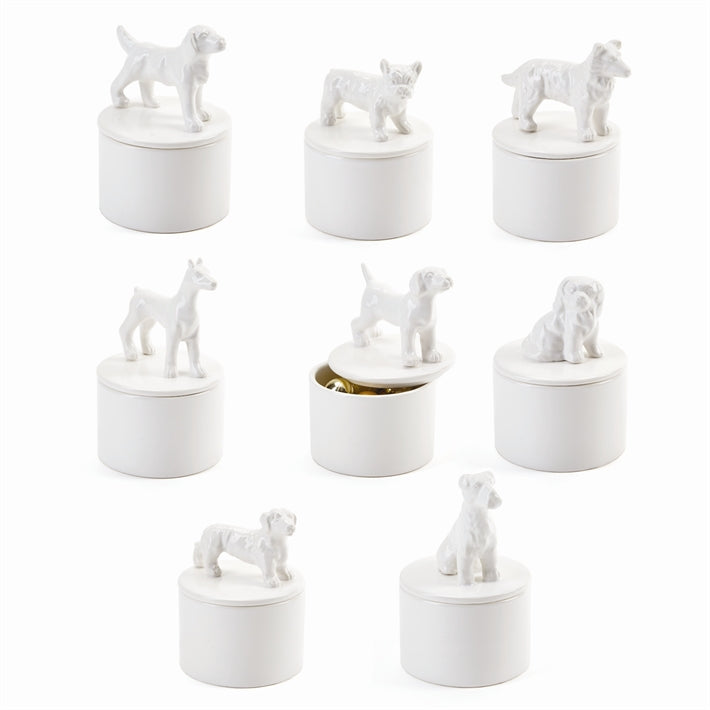 Best in Show Keepsake Box - Dachshund