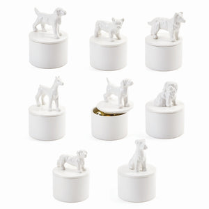 Best in Show Keepsake Box - Dachshund