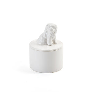 Best in Show Keepsake Box - Cavalier King Charles Spaniel