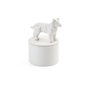 Best in Show Keepsake Box - Collie